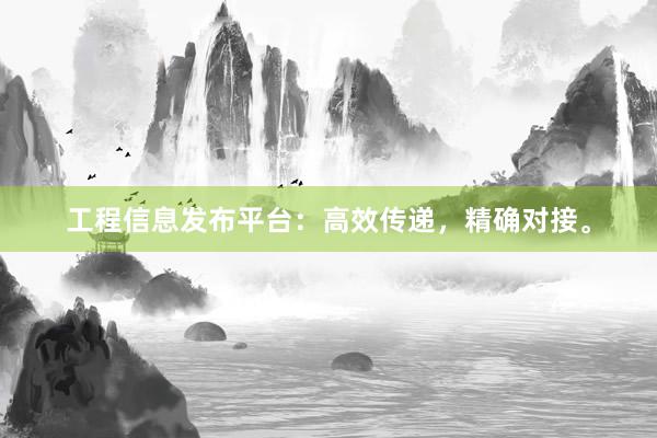 工程信息发布平台：高效传递，精确对接。